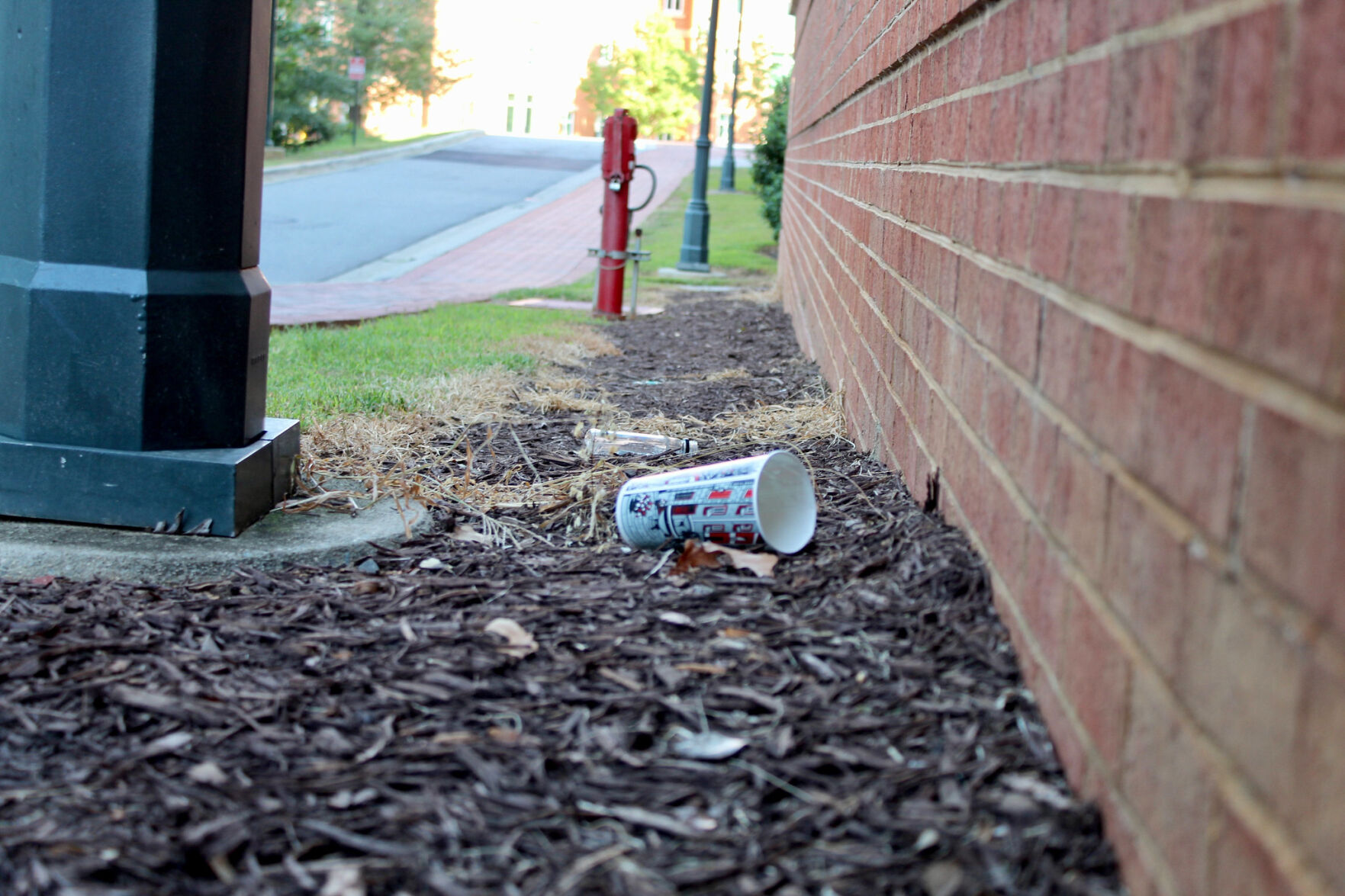 Campus Litter